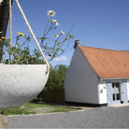Bed and Breakfast A L'Ombre Du Prunier Licques Exterior foto